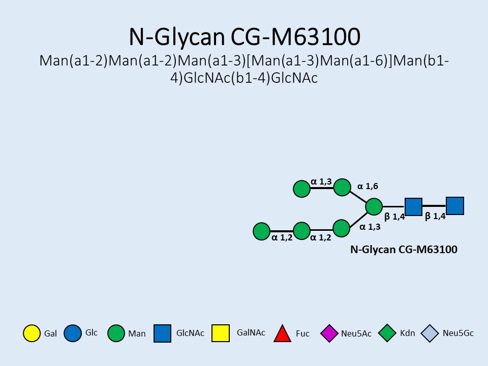 N-Glycan-CG-M63100