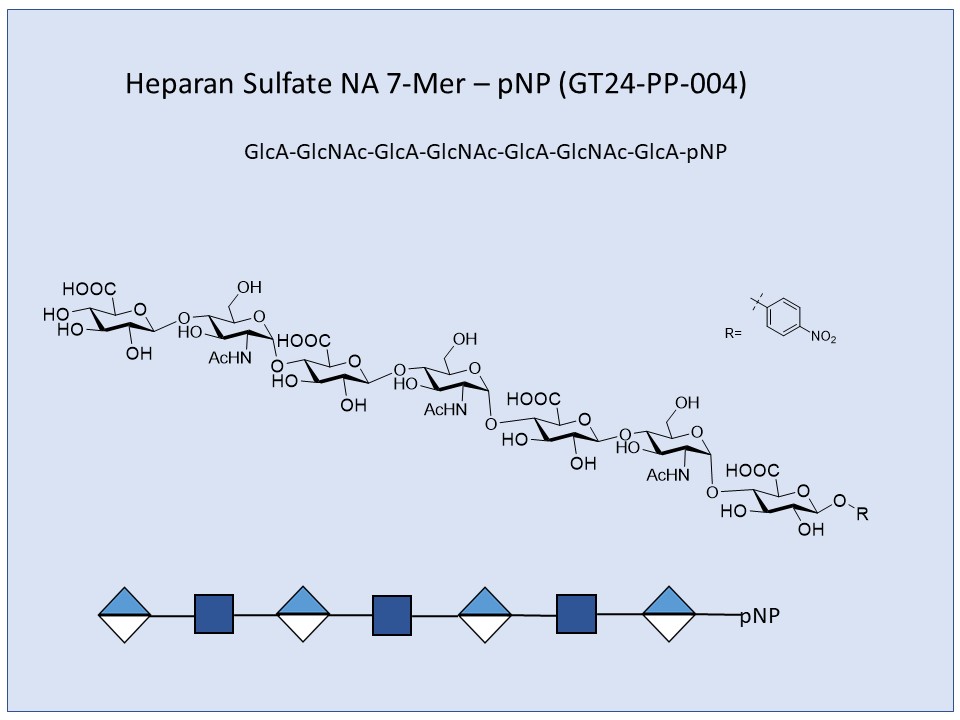 Heparan Sulfate NA 7-Mer