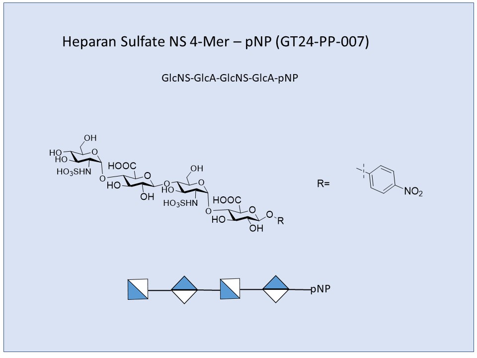 Heparan Sulfate NS 4-Mer