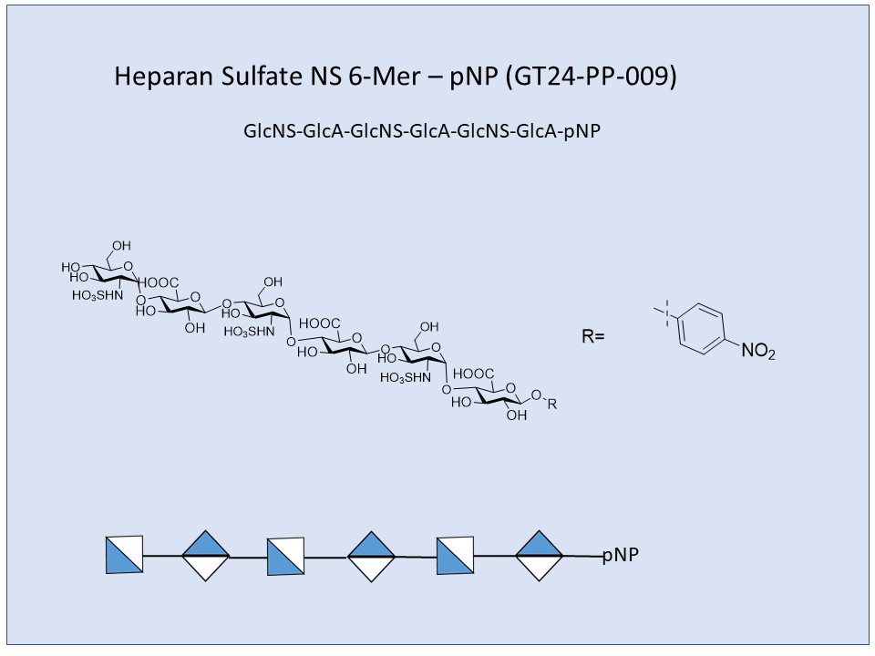 Heparan Sulfate NS 6-Mer