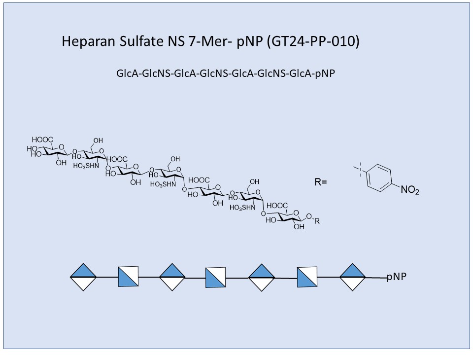 Heparan Sulfate NS 7-Mer