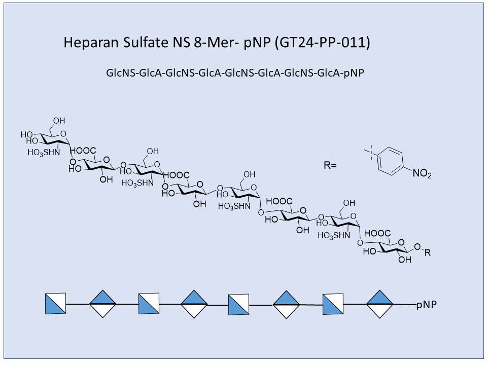 Heparan Sulfate NS 8-Mer