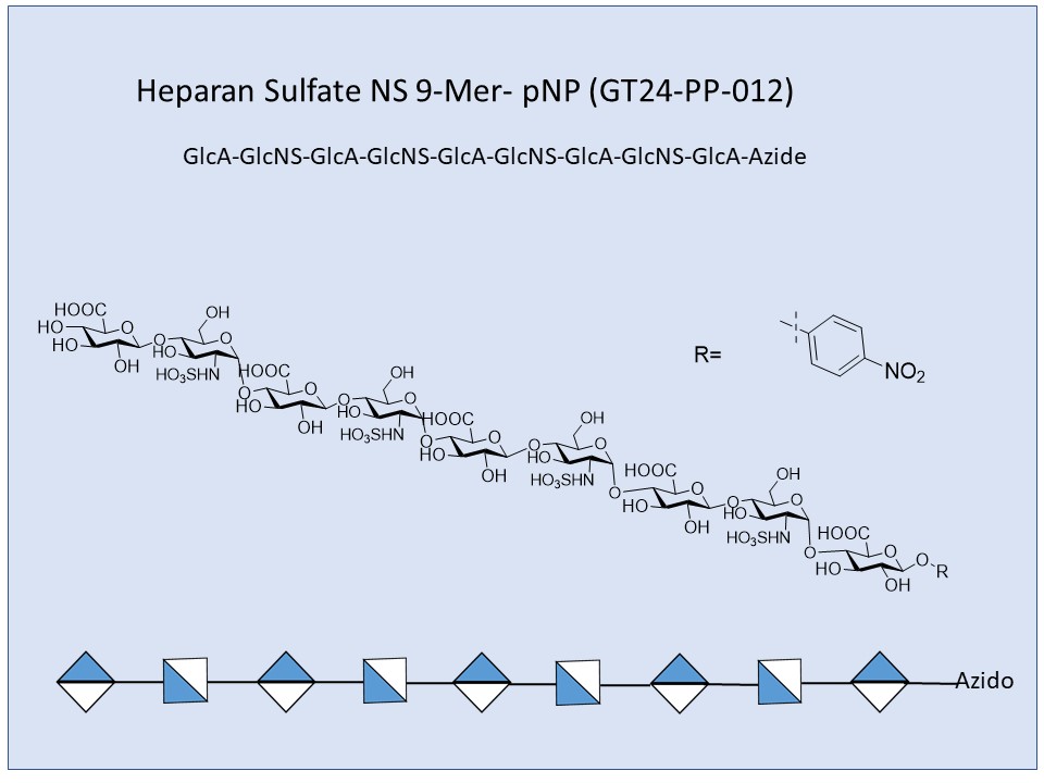 Heparan Sulfate NS 9-Mer