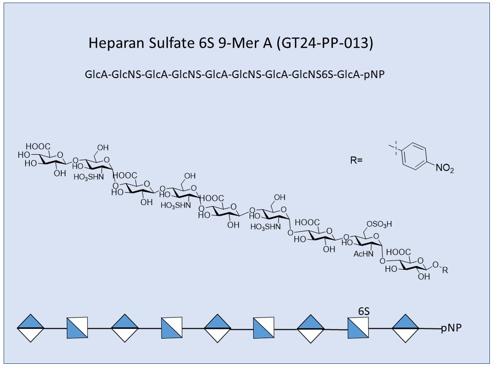 Heparan Sulfate 6S 9-Mer A