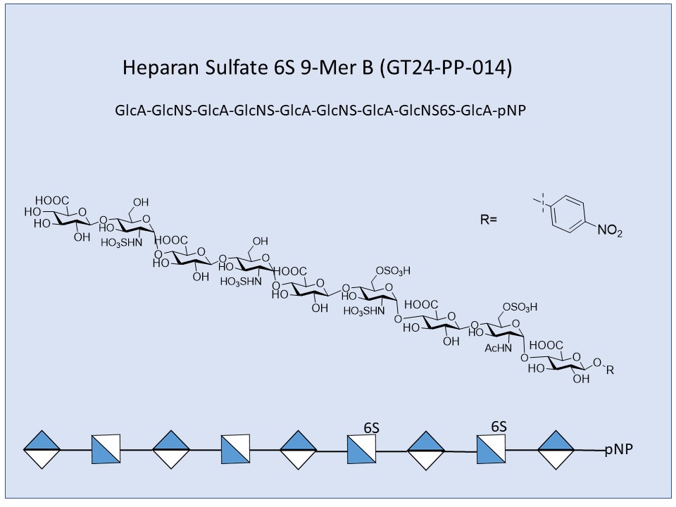 Heparan Sulfate 6S 9-Mer B