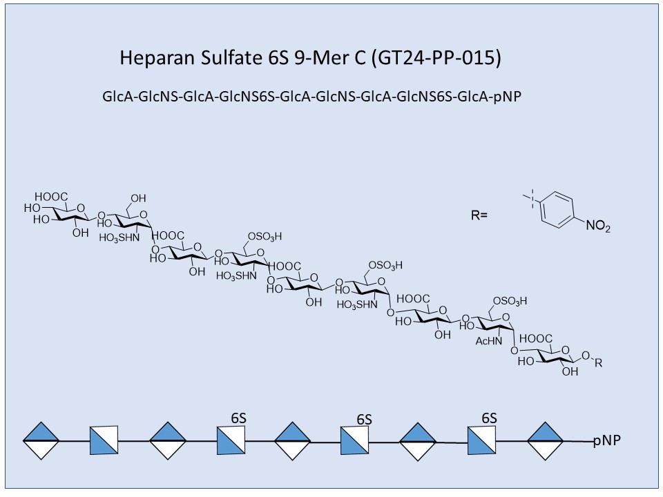 Heparan Sulfate 6S 9-Mer C