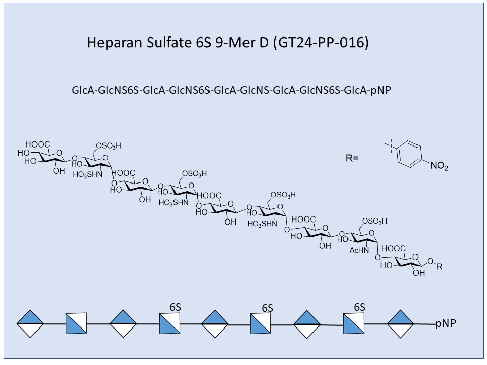 Heparan Sulfate 6S 9-Mer D