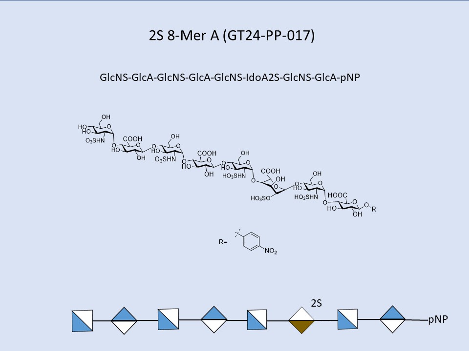 Heparan Sulfate 2S 8-Mer A