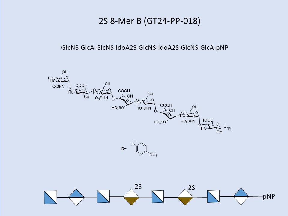 Heparan Sulfate 2S 8-Mer B