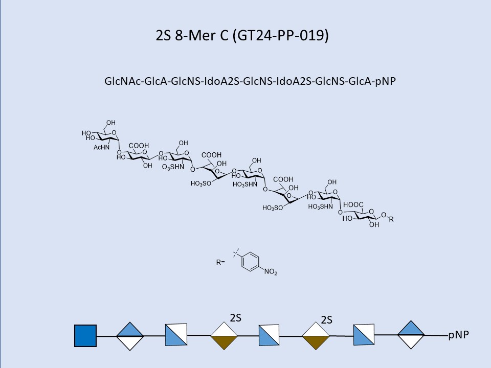 Heparan Sulfate 2S 8-Mer C