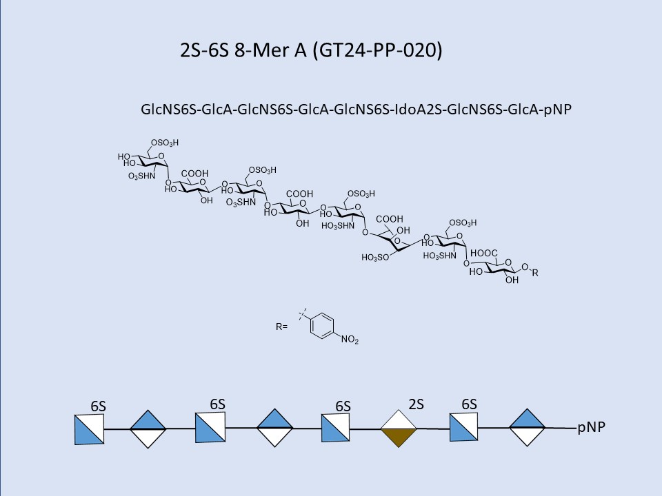 Heparan Sulfate 2S-6S 8-Mer A