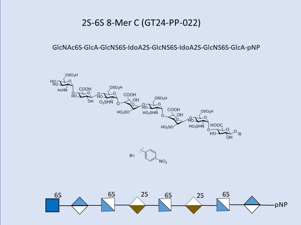 Heparan Sulfate 2S-6S 8-Mer C