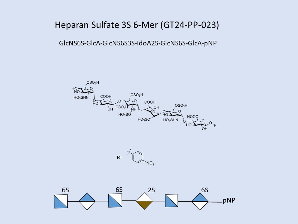Heparan Sulfate 3S 6-Mer