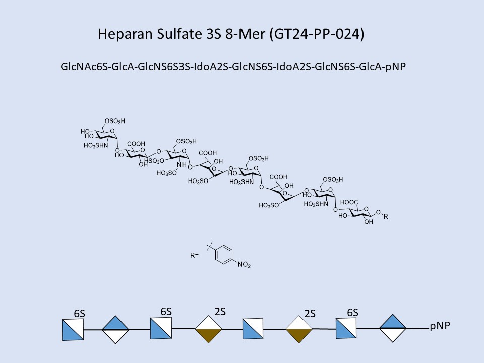 Heparan Sulfate 3S 8-Mer