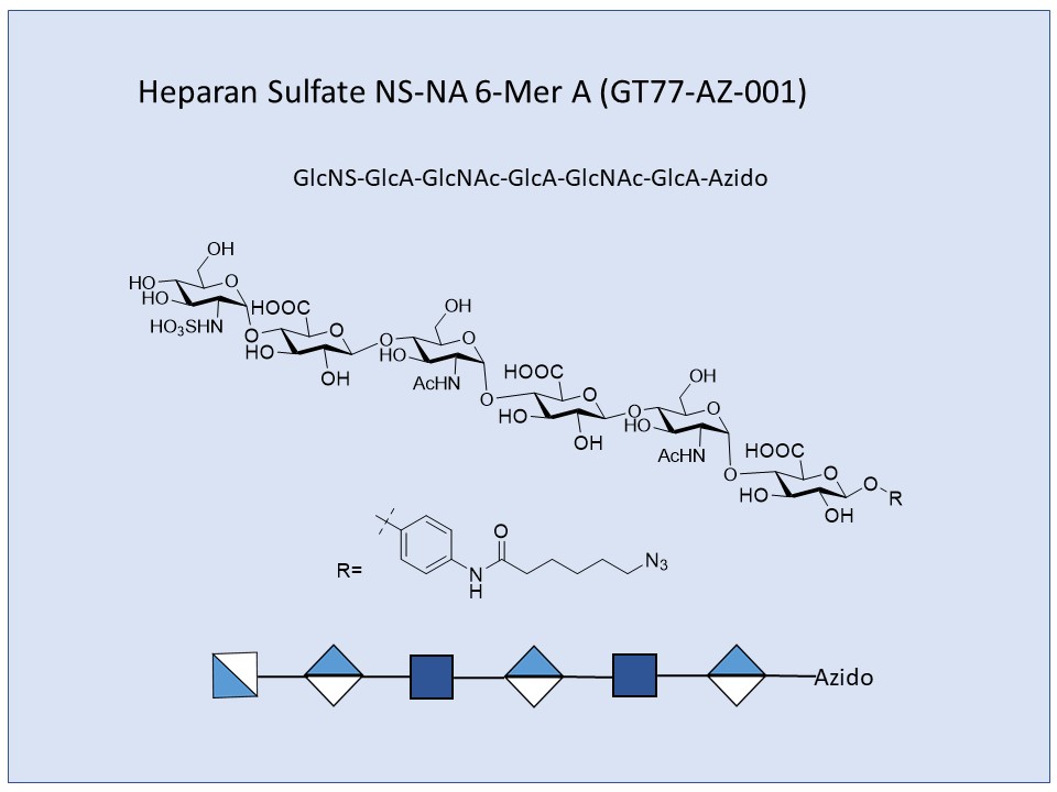 Heparan Sulfate NS-NA 6-Mer A