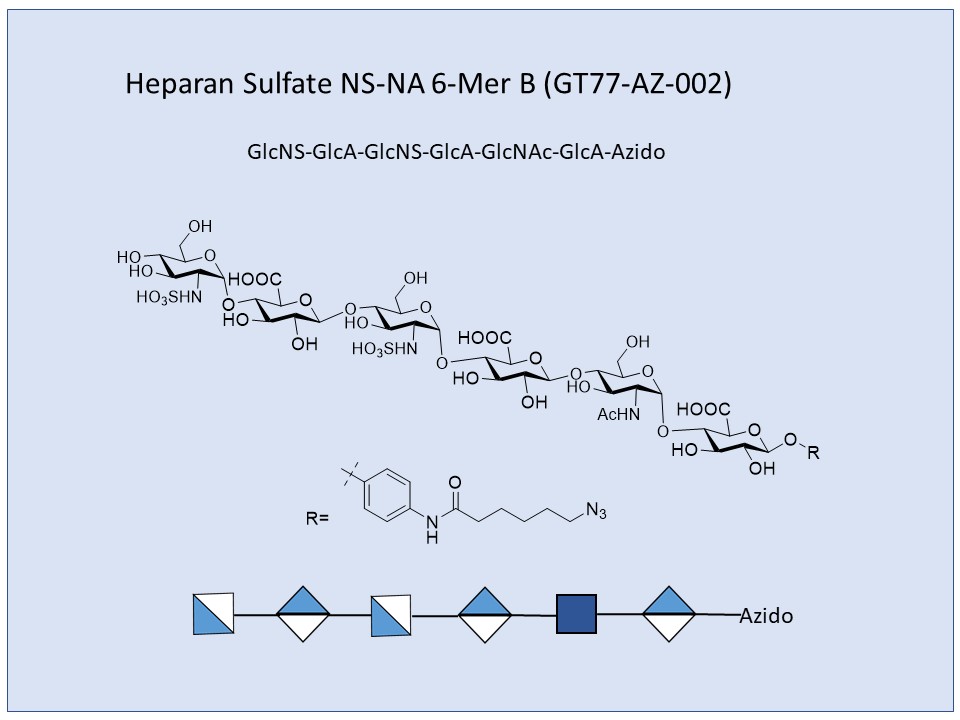 Heparan Sulfate NS-NA 6-Mer B