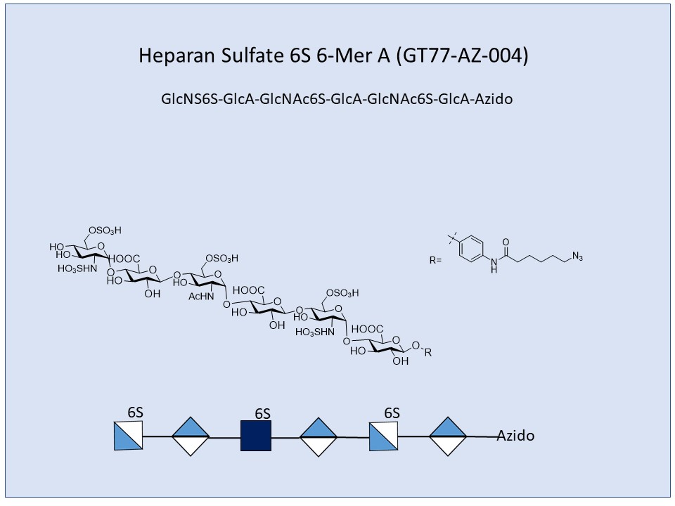 Heparan Sulfate 6S 6-Mer A