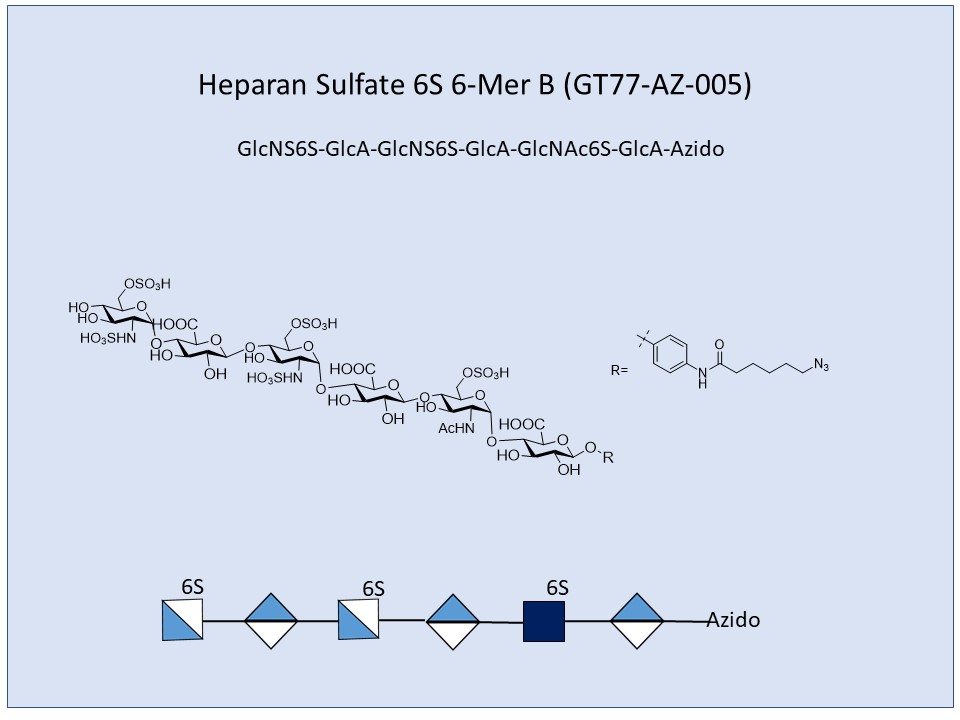 Heparan Sulfate 6S 6-Mer B