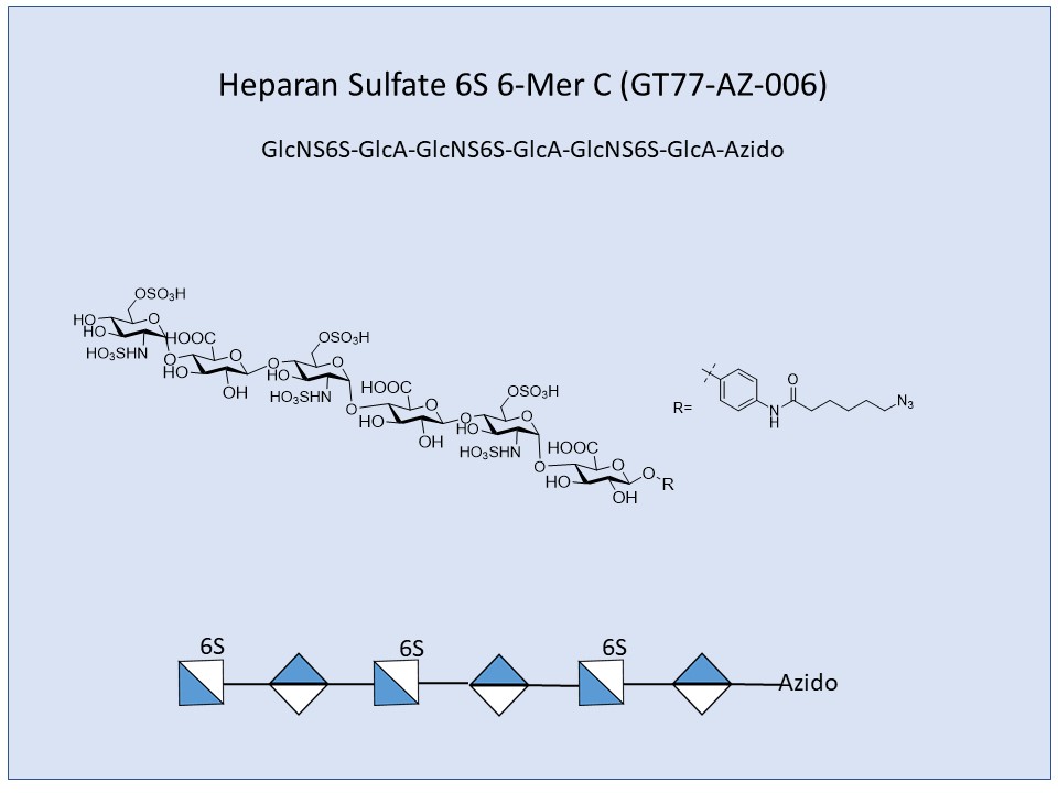 Heparan Sulfate 6S 6-Mer C