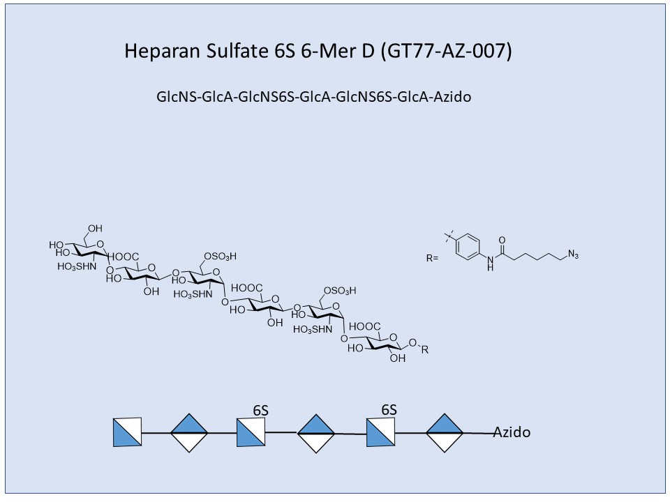 Heparan Sulfate 6S 6-Mer D
