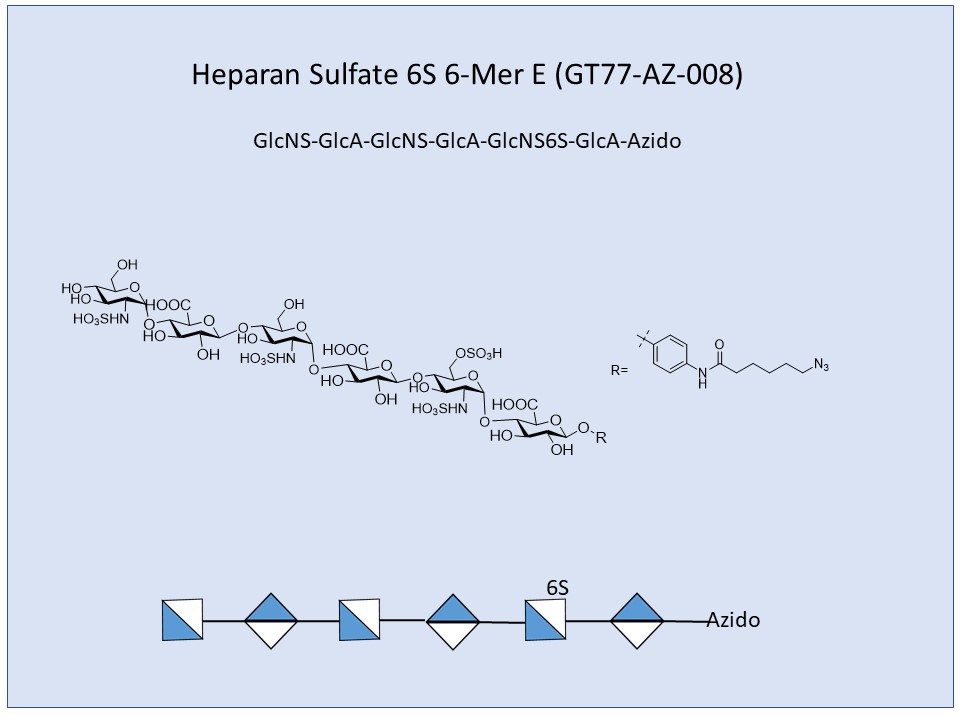 Heparan Sulfate 6S 6-Mer E