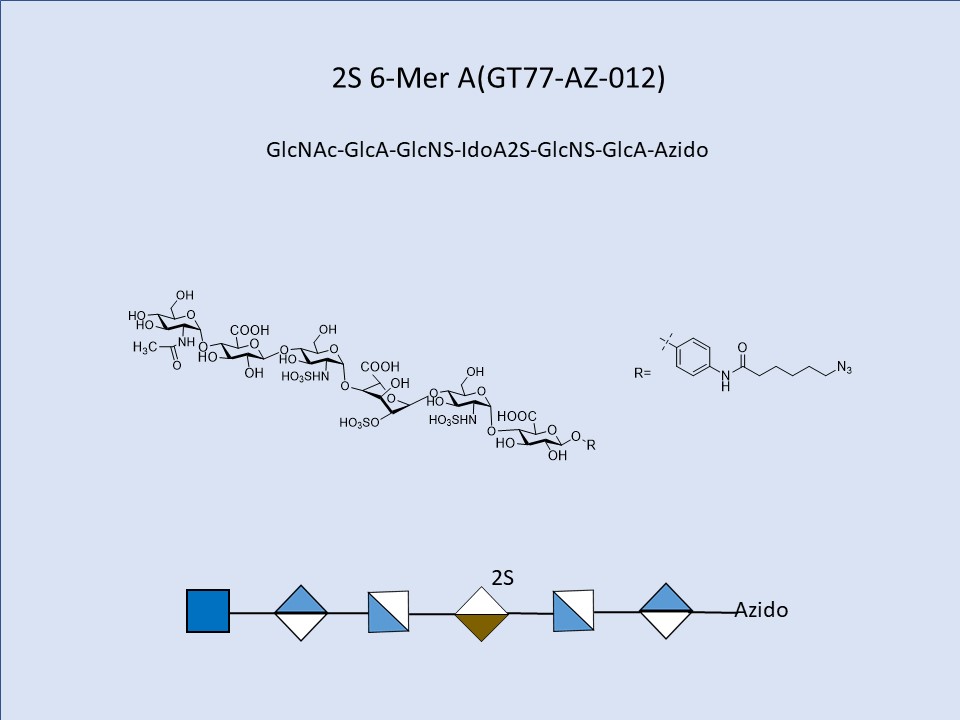 Heparan Sulfate 2S 6-Mer A