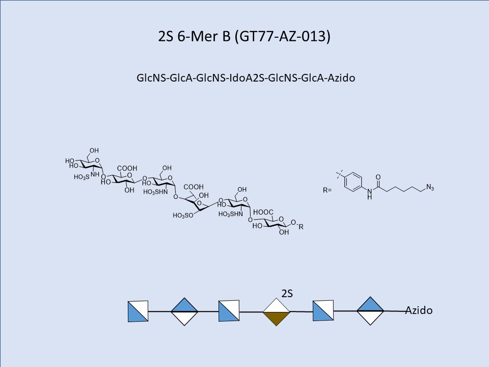 Heparan Sulfate 2S 6-Mer B