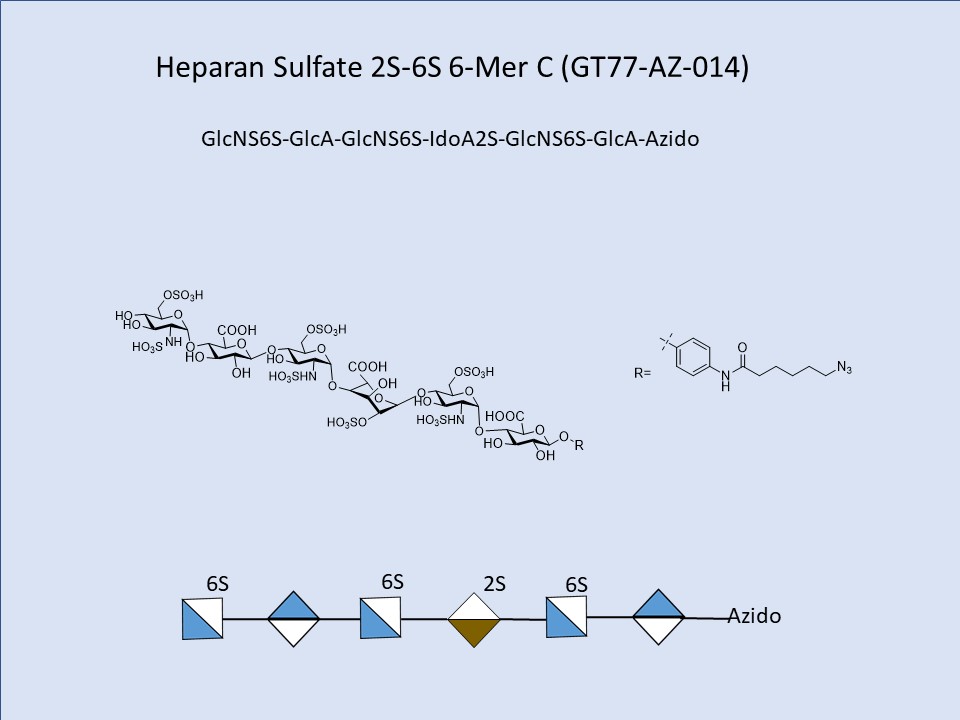 Heparan Sulfate 2S-6S 6-Mer C