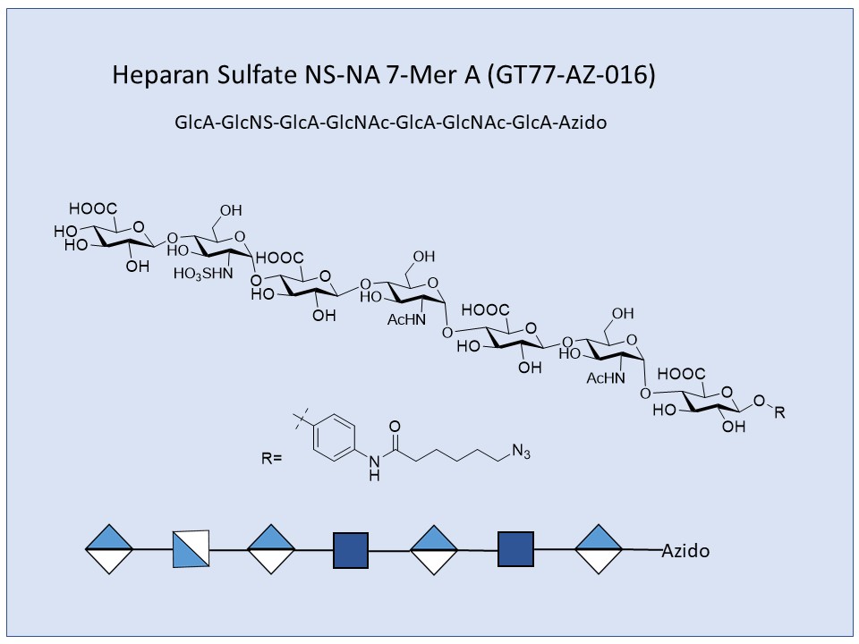 Heparan Sulfate NS-NA 7-Mer A