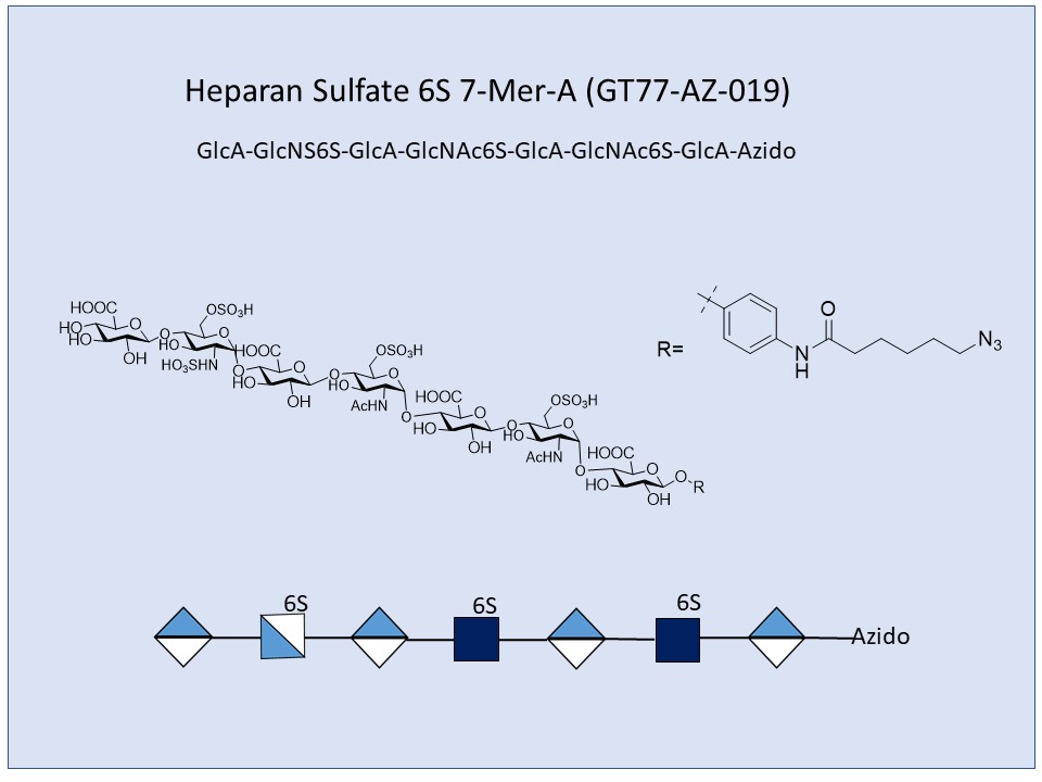 Heparan Sulfate 6S 7-Mer A
