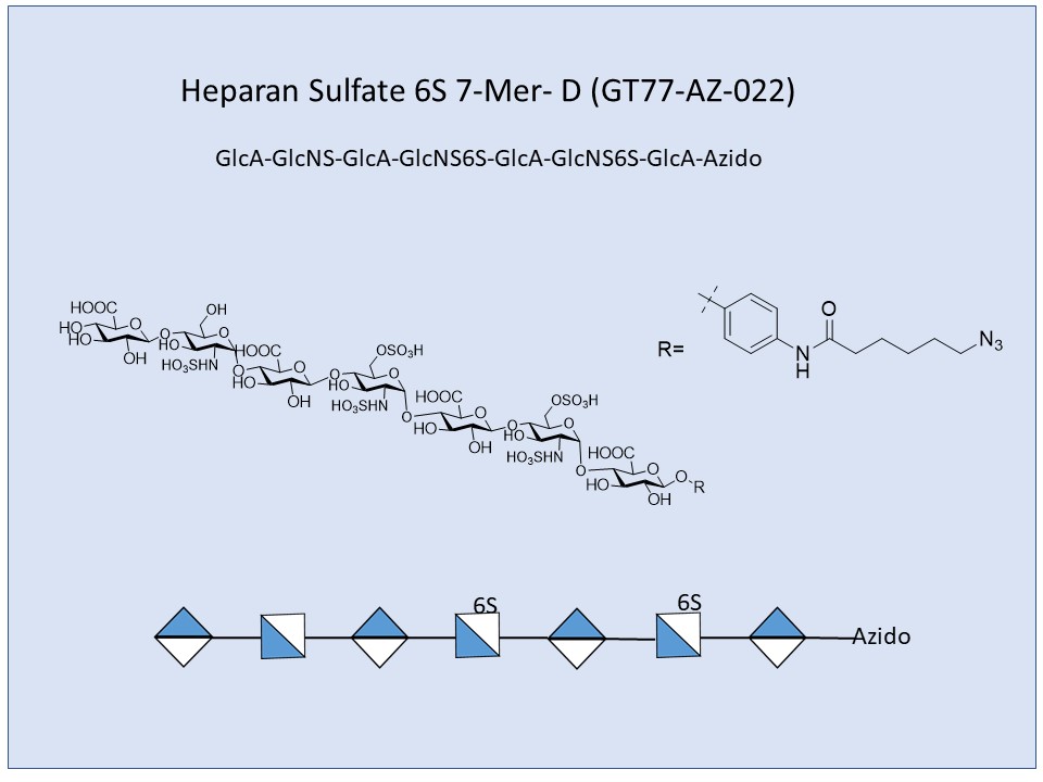 Heparan Sulfate 6S 7-Mer D