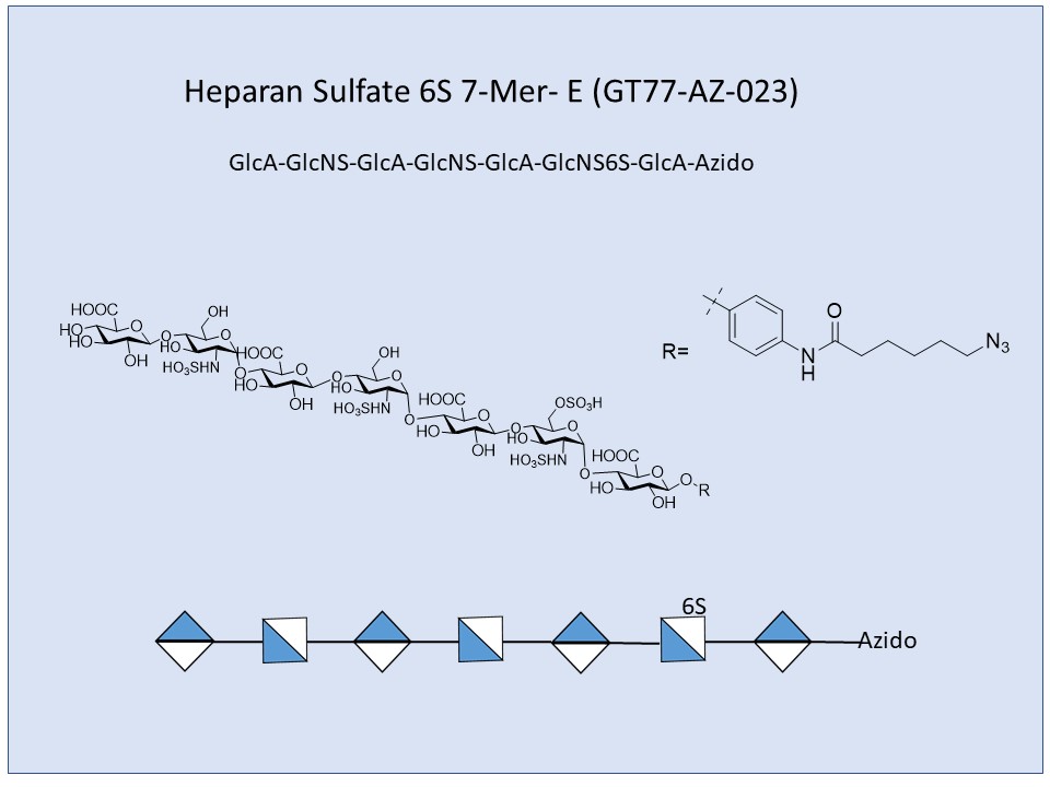 Heparan Sulfate 6S 7-Mer E