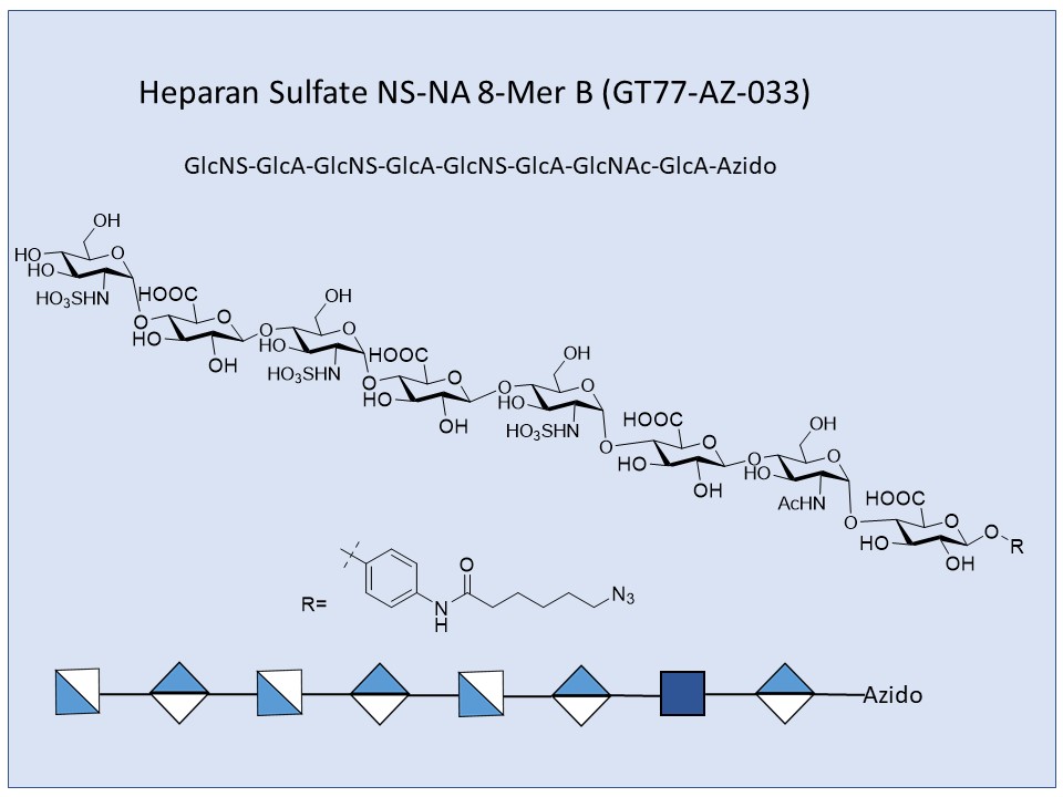 Heparan Sulfate NS-NA 8-Mer B