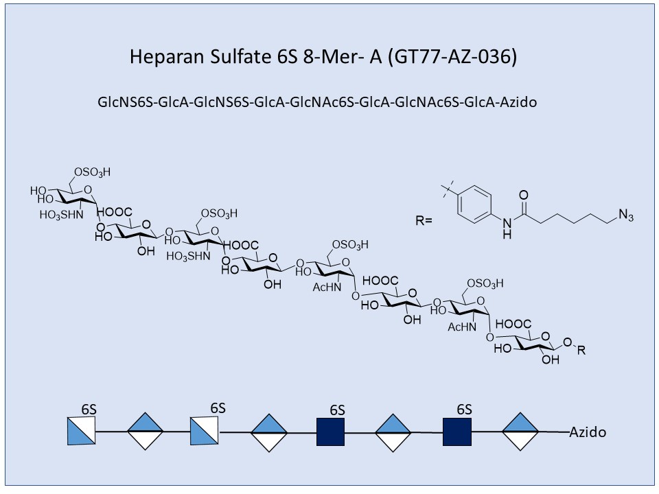 Heparan Sulfate 6S 8-Mer A