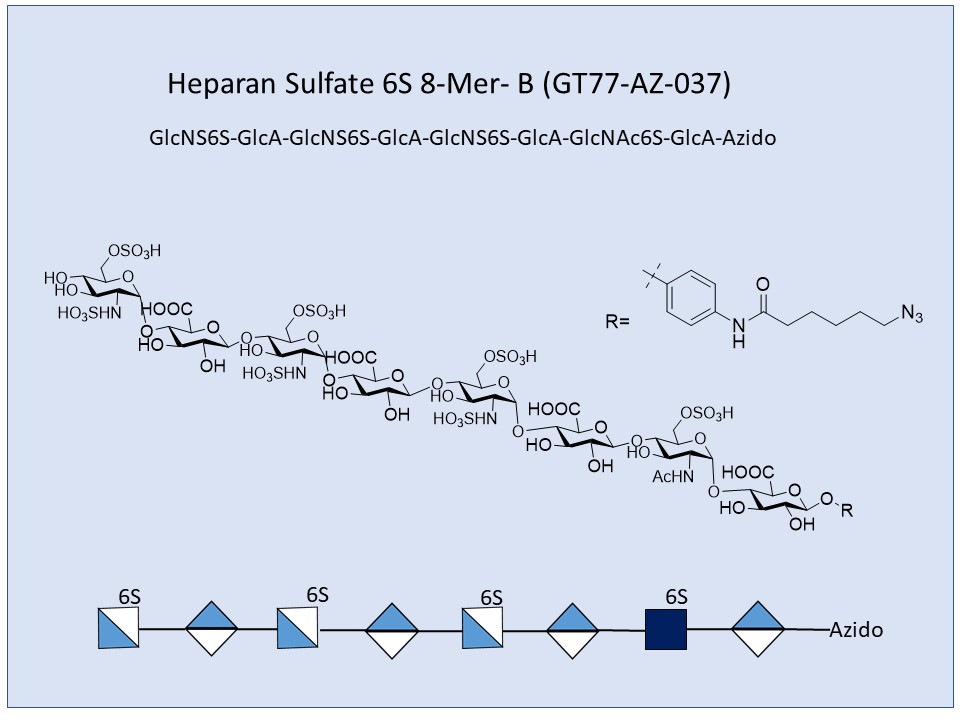 Heparan Sulfate 6S 8-Mer B