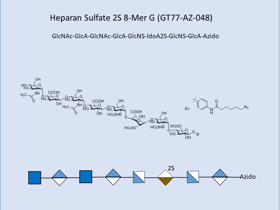 Heparan Sulfate 2S 8-Mer G