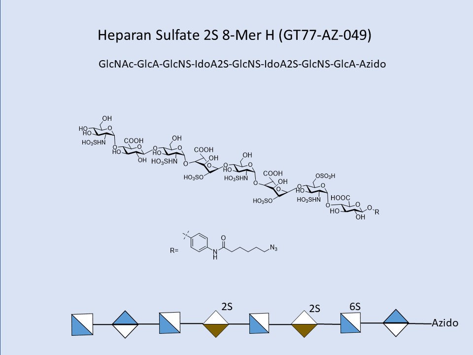 Heparan Sulfate 2S 8-Mer H