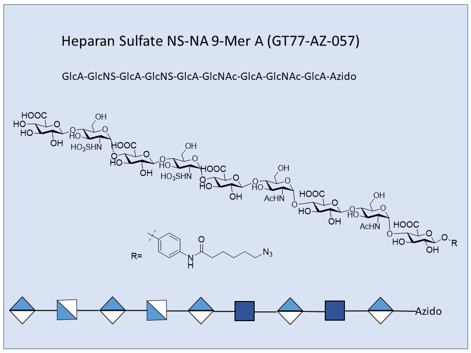 Heparan Sulfate NS-NA 9-Mer A