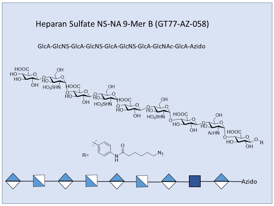 Heparan Sulfate NS-NA 9-Mer B