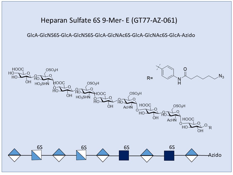 Heparan Sulfate 6S 9-Mer E