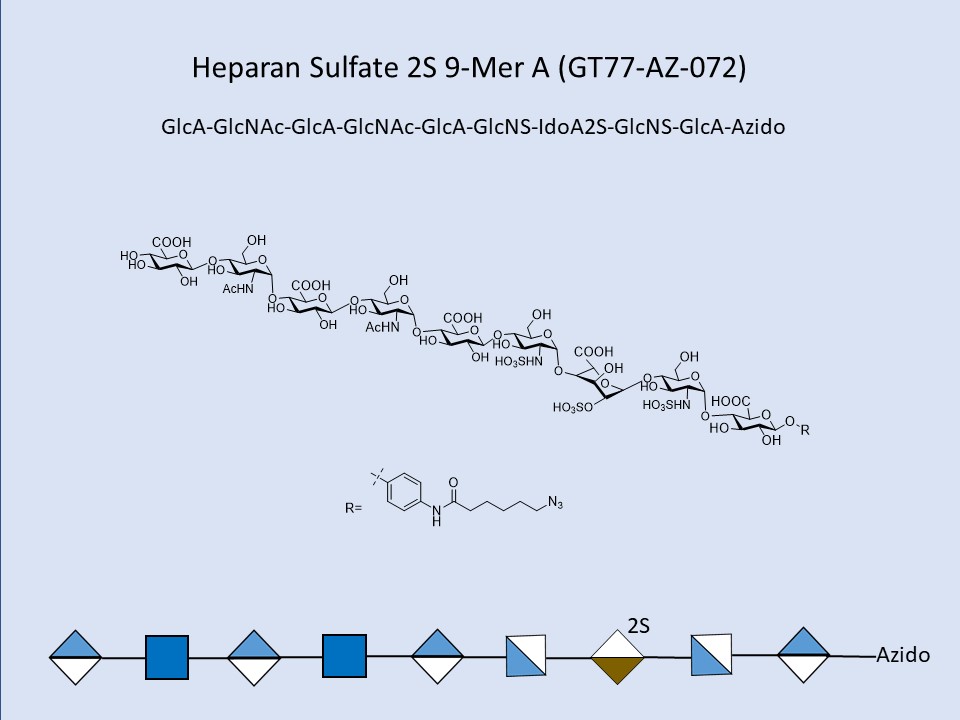Heparan Sulfate 2S 9-Mer A