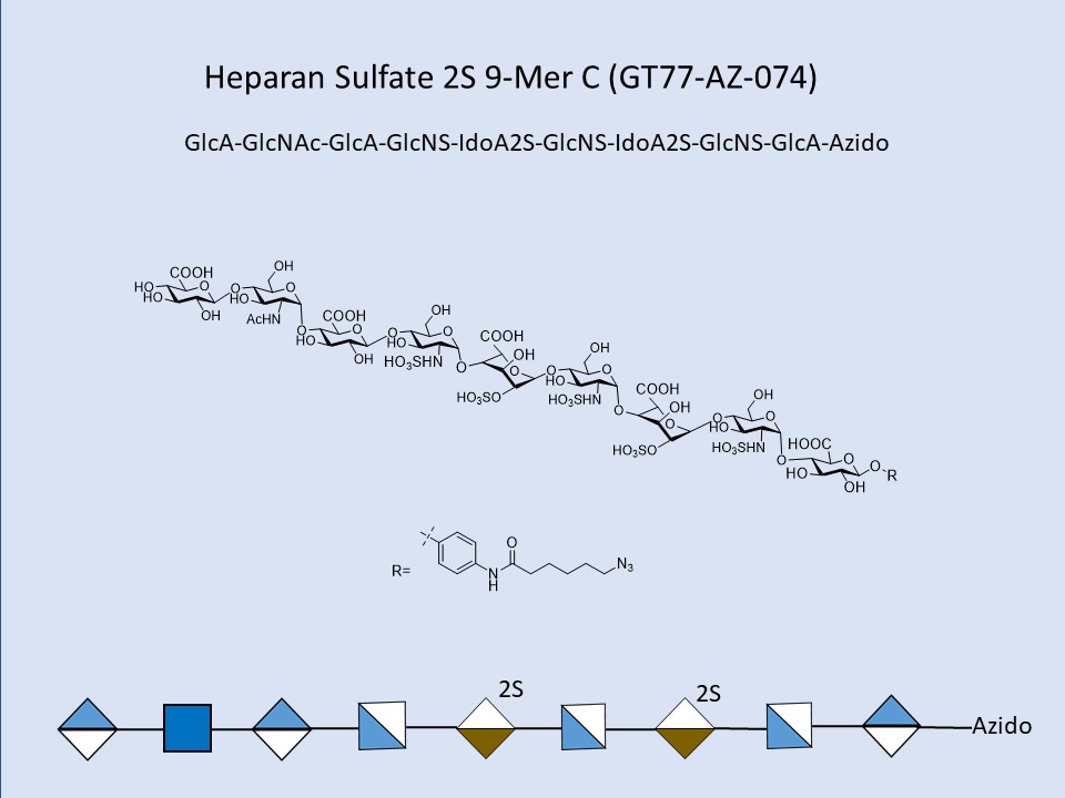 Heparan Sulfate 2S 9-Mer C