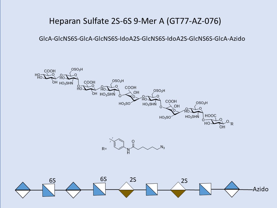 Heparan Sulfate 2S-6S 9-Mer A