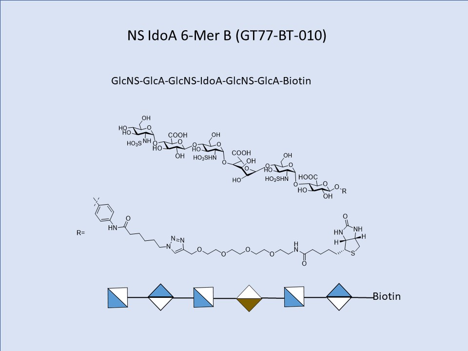 Heparan Sulfate NS IdoA 6-Mer Bio