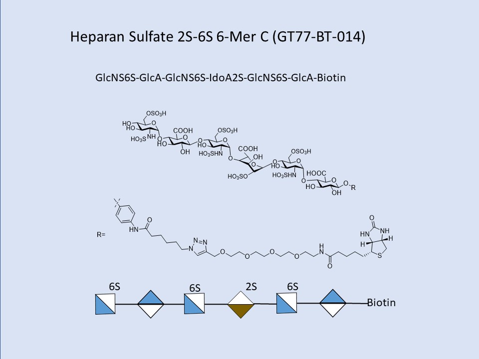 Heparan Sulfate 2S-6S 6-Mer C Bio