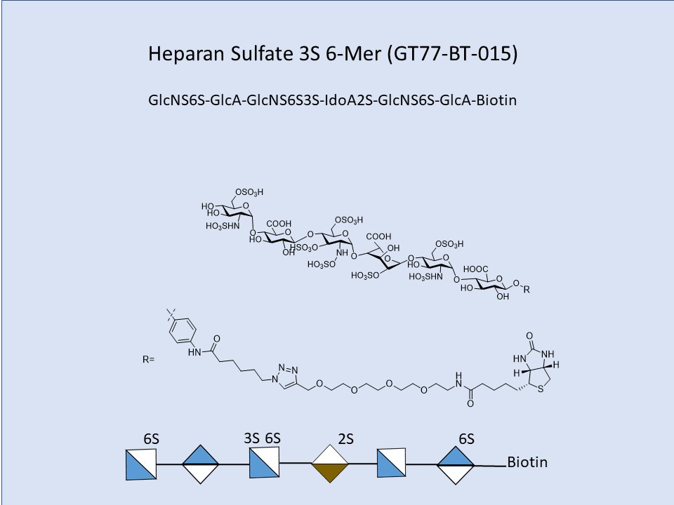 Heparan Sulfate 2S-6S-3S 6-Mer Bio