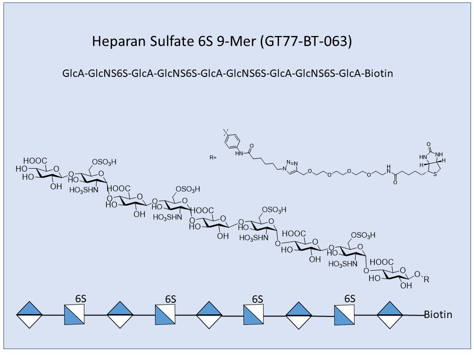 Heparan Sulfate 6S 9-Mer Bio