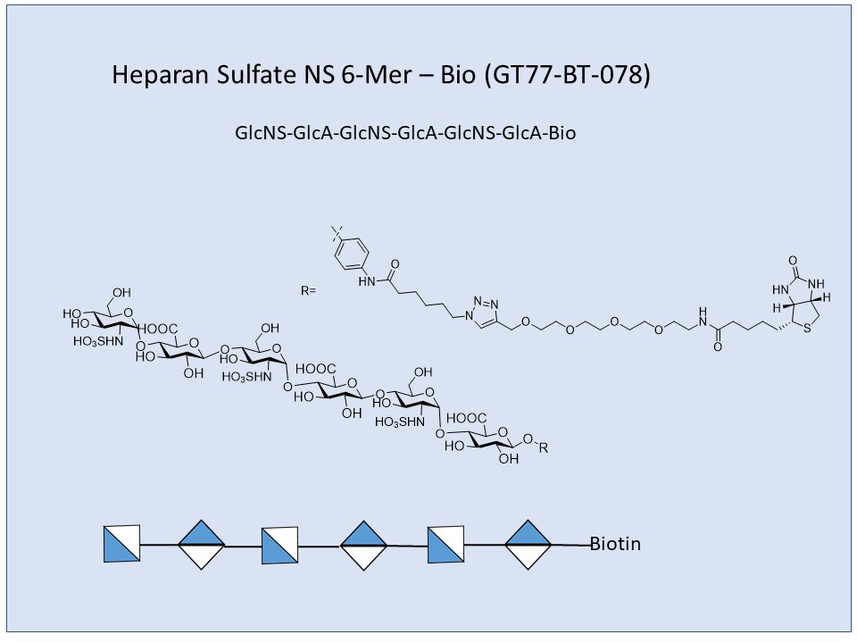 Heparan Sulfate NS 6-Mer Bio
