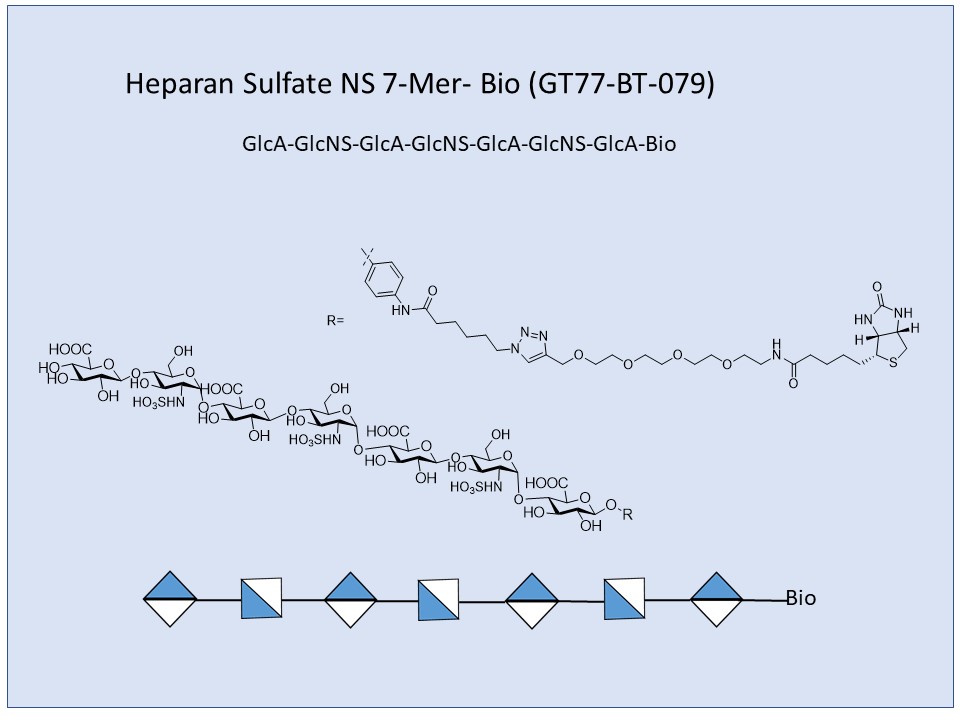 Heparan Sulfate NS 7-Mer Bio
