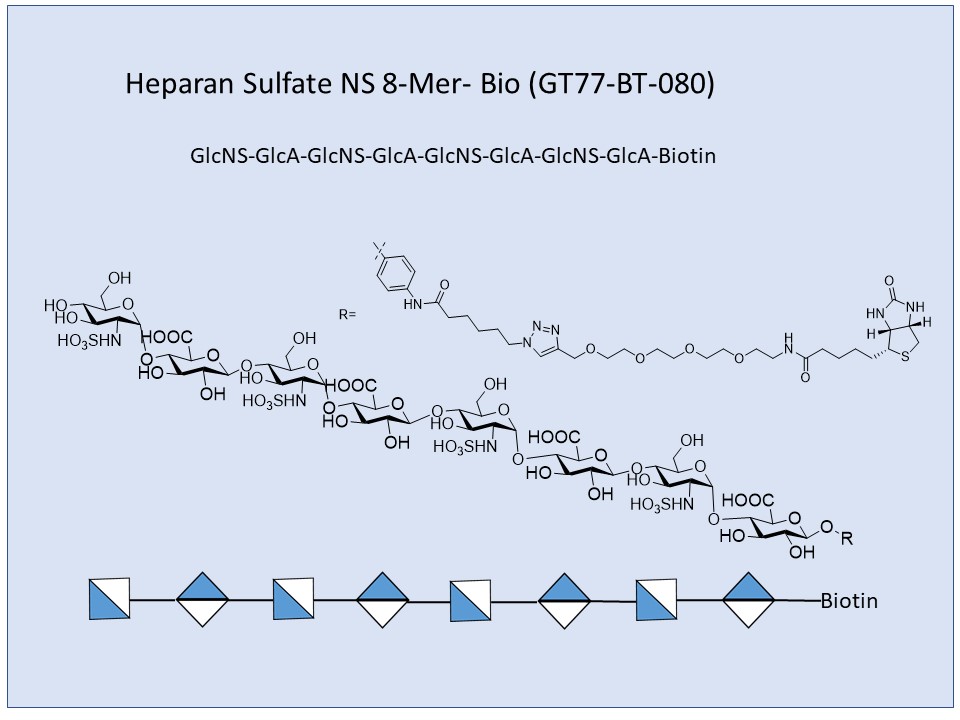Heparan Sulfate NS 8-Mer Bio